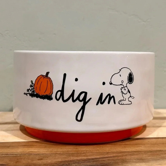 Rae Dunn Peanuts Ceramic Dog Dish featuring Snoopy. Halloween pumpkins. NWTS - Picture 7 of 7